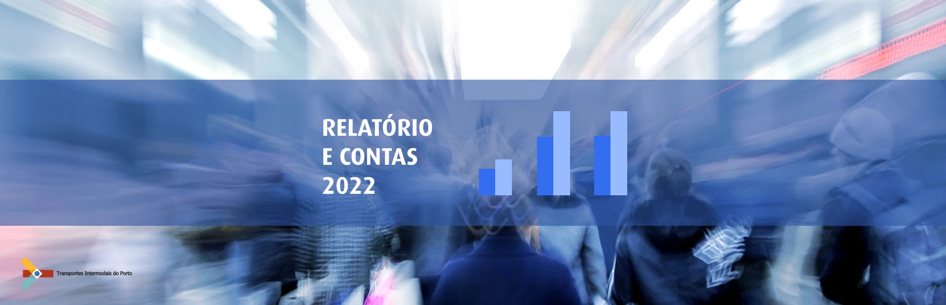 contas do exercício 2022
